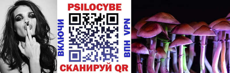 Галлюциногенные грибы Psilocybe Верхняя Пышма